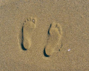 What Is Your Footprint?